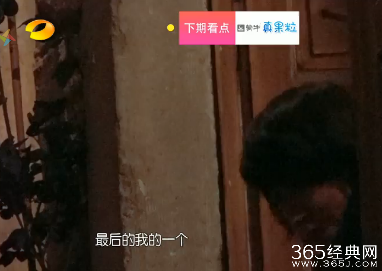 《花儿与少年》许晴为什么骂郑爽