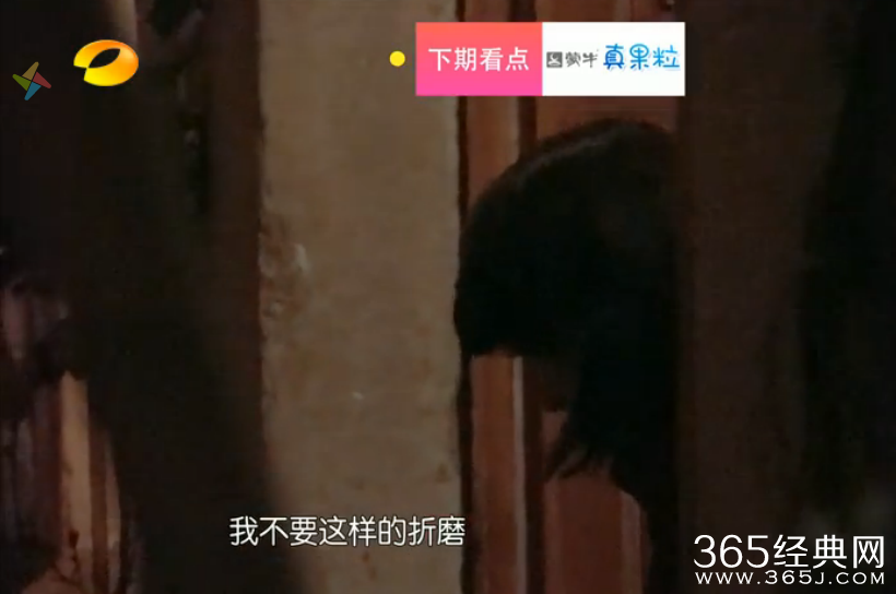 《花儿与少年》许晴为什么骂郑爽