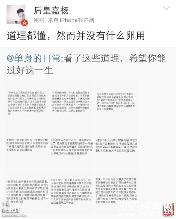 理都懂，然并卵，城会玩，日了狗什么意思