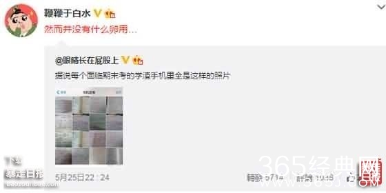 理都懂，然并卵，城会玩，日了狗什么意思