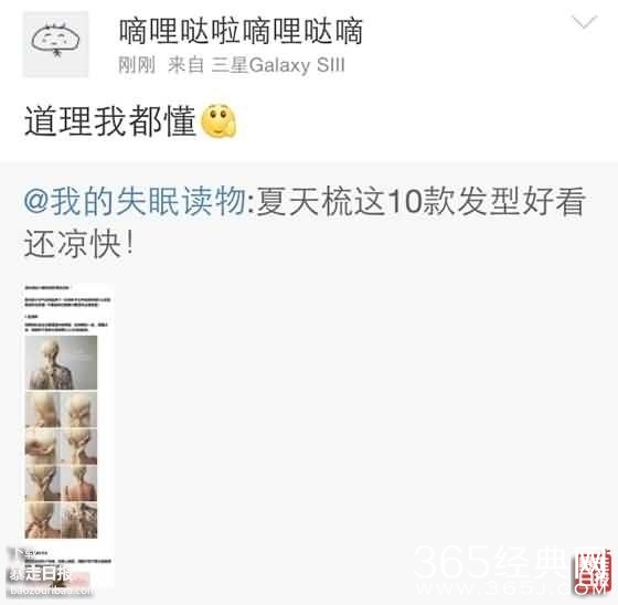 理都懂，然并卵，城会玩，日了狗什么意思