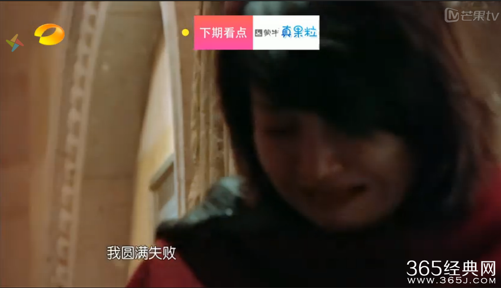 《花儿与少年》许晴为什么骂郑爽