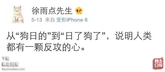 理都懂，然并卵，城会玩，日了狗什么意思