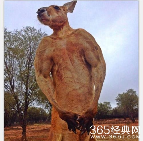 经典哥：丑和摸胸有什么关系2015.06.10