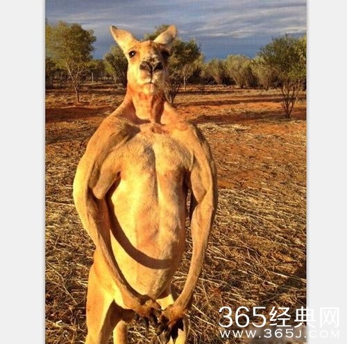 经典哥：丑和摸胸有什么关系2015.06.10