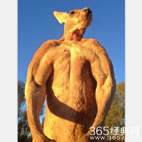 经典哥：丑和摸胸有什么关系2015.06.10