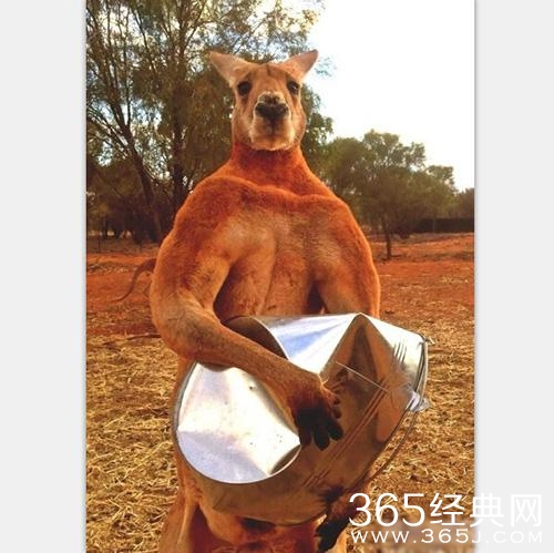 经典哥：丑和摸胸有什么关系2015.06.10