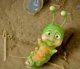 《花千骨》糖宝为何是只毛毛虫