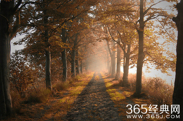 失败的人生就是这样造就的