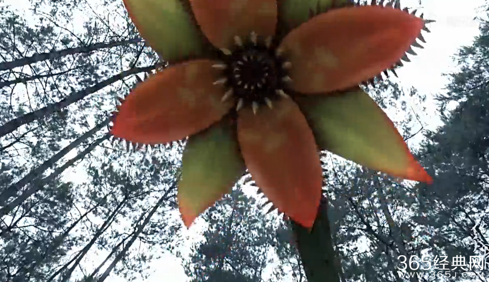 《花千骨》第3集4集剧情介绍