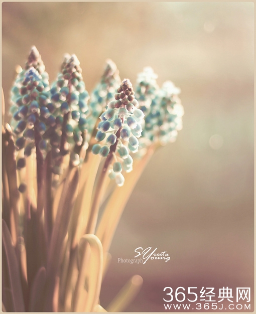 浮生尽、LIFE、美景、唯美