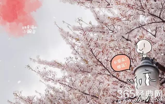 你就是我今生该等的人