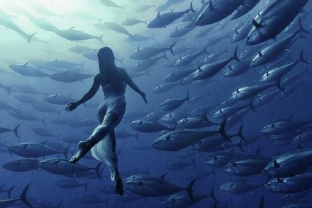 我的心，你的城