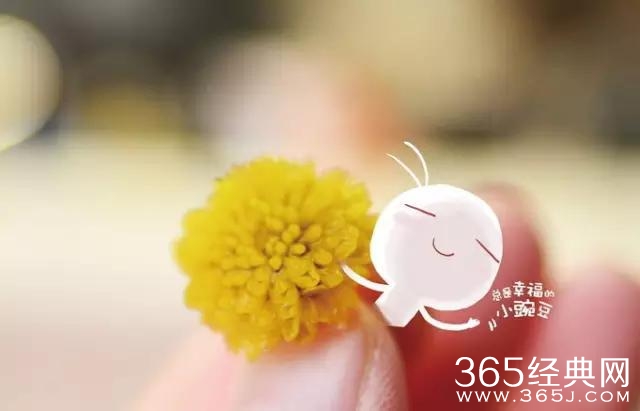 你就是我今生该等的人