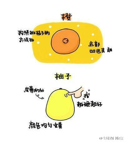 教你怎样挑水果才最好次！