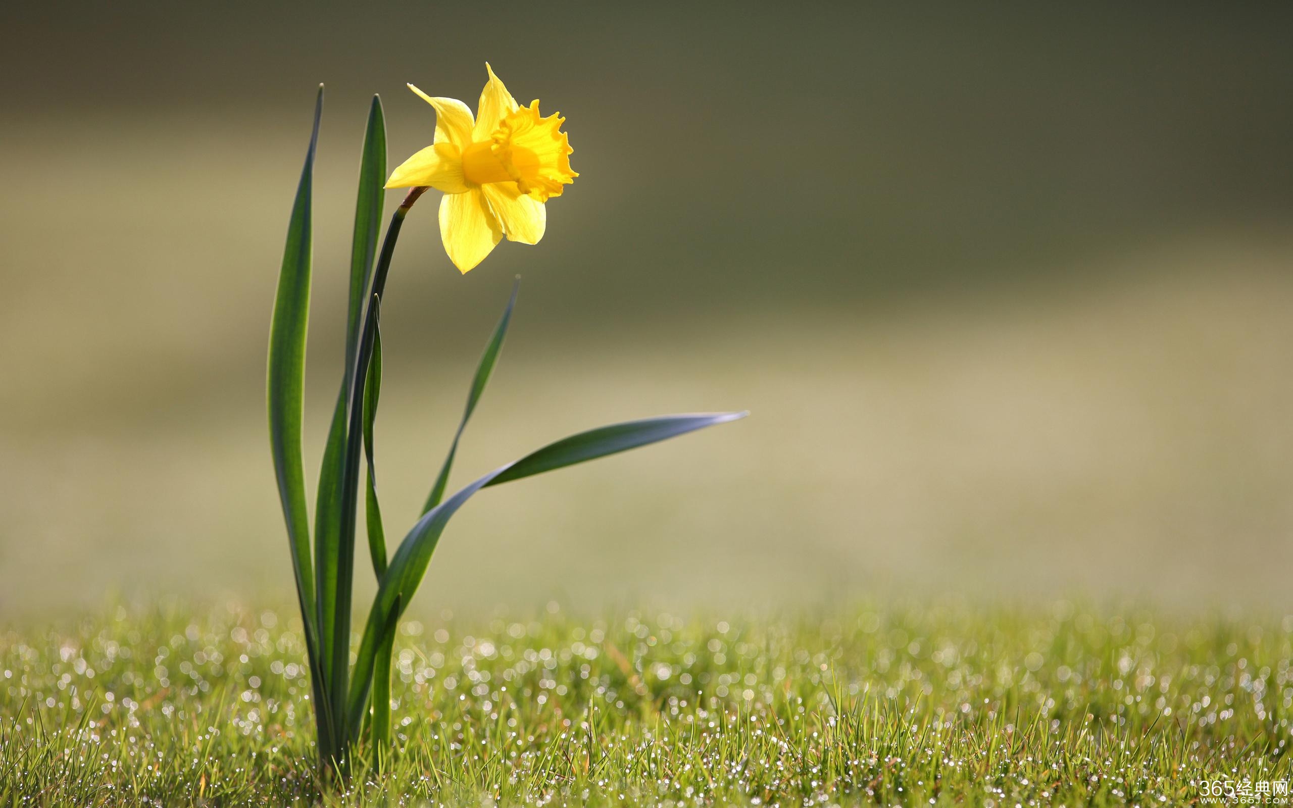 不认真“锻炼”，哪有底气跟世界叫板