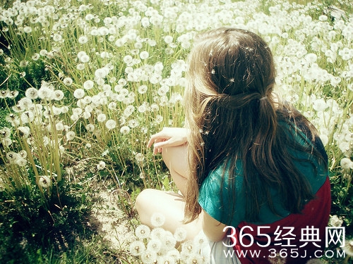 12883300383453、美好、长发、阳光、蒲公英、长发控、背影、beauty、谁与流年、花、逆着光、透亮、美女