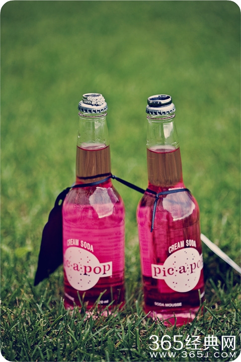 玫瑰花径、恋物癖、清新、意境、静物