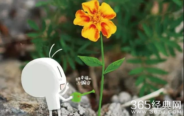 你就是我今生该等的人