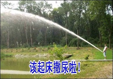 精选搞笑段子集锦