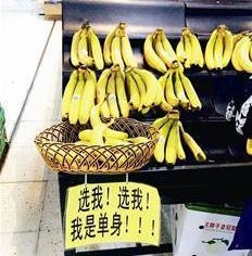 经典哥：人在江湖身不由己2015.06.12