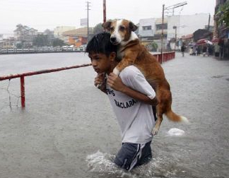 经典哥：人在江湖身不由己2015.06.12