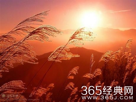 底蕴的厚度决定你人生的高度