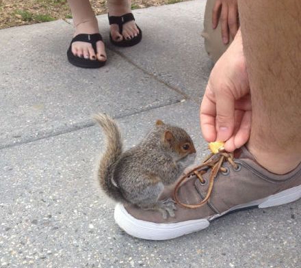 经典哥：人在江湖身不由己2015.06.12