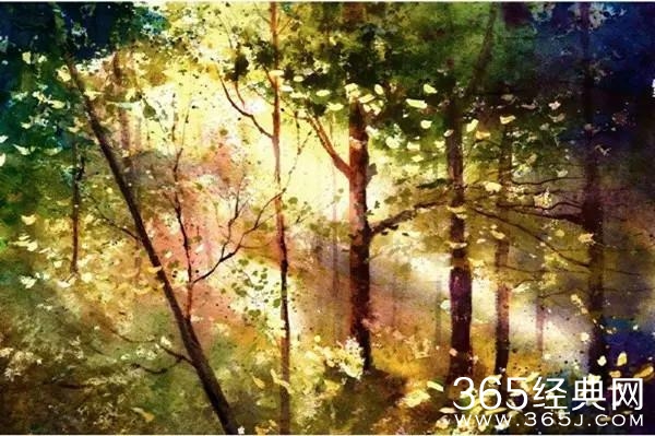 记着，你的生命里我来过