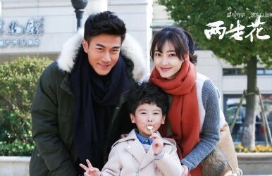 《两生花》电视剧版和小说版结局一样吗？结局是什么？