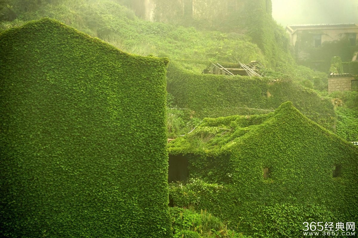 浙江无人渔村被大自然吞没宛如仙境