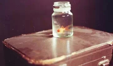 拥有人生这十枚金币，从此便能飞黄腾达！