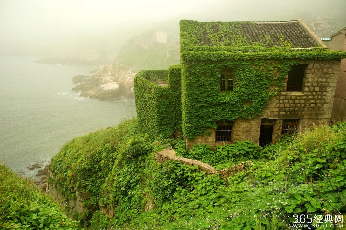 浙江无人渔村被大自然吞没宛如仙境