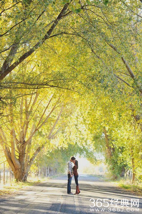 你若盛开，蝴蝶自来，你若精彩，天自安排