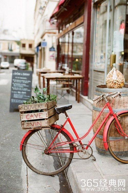 你若盛开，蝴蝶自来，你若精彩，天自安排