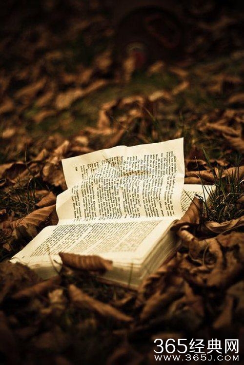 你若盛开，蝴蝶自来，你若精彩，天自安排