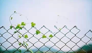 拥有人生这十枚金币，从此便能飞黄腾达！