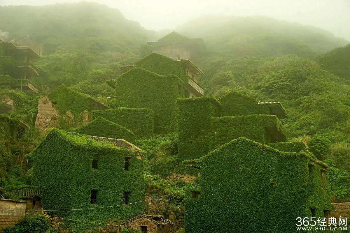 浙江无人渔村被大自然吞没宛如仙境