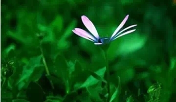 拥有人生这十枚金币，从此便能飞黄腾达！