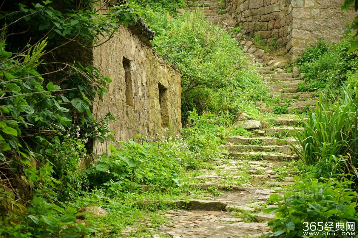 浙江无人渔村被大自然吞没宛如仙境