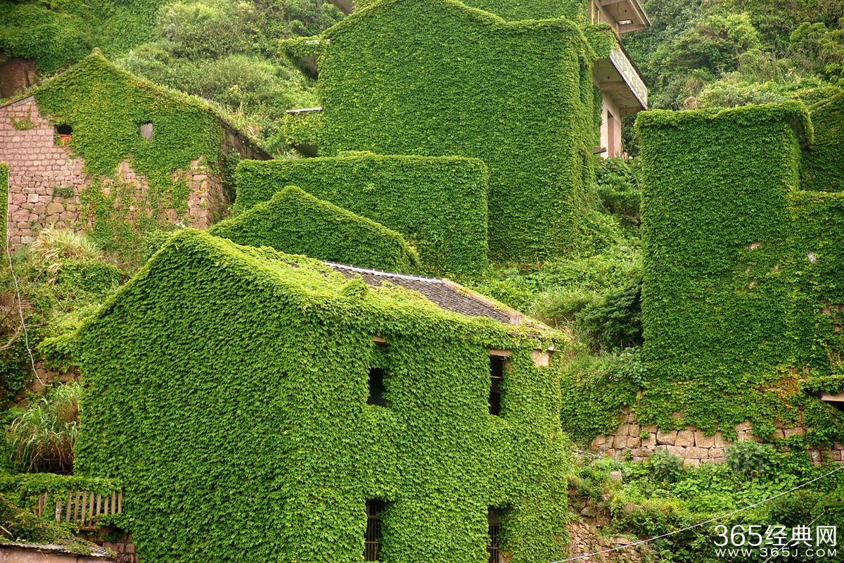 浙江无人渔村被大自然吞没宛如仙境