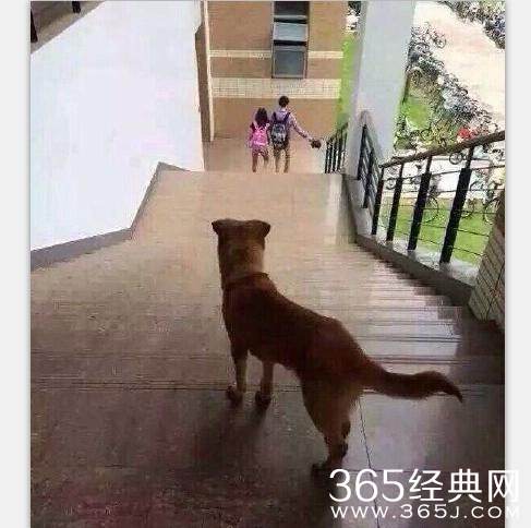 经典哥：射到外面说明你短2015.06.16