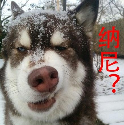 经典哥：我要上交给国家2015.06.17