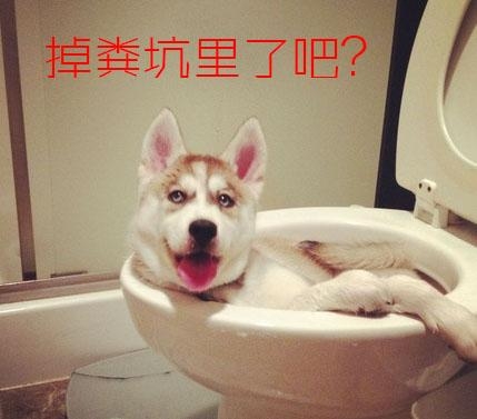 经典哥：我要上交给国家2015.06.17