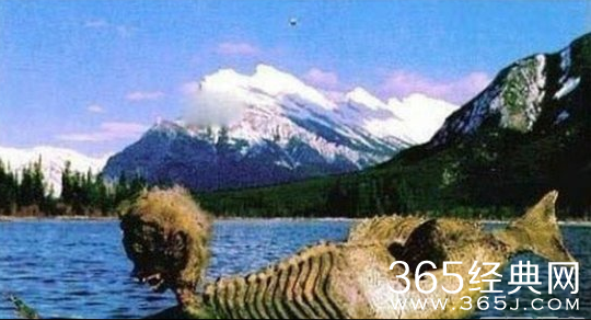 世界上有美人鱼吗？