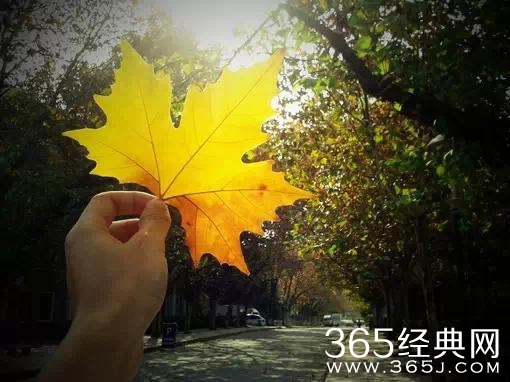 守好心，走好路