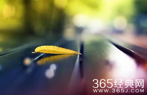 守好心，走好路