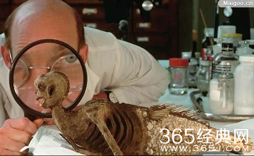 世界上有美人鱼吗？