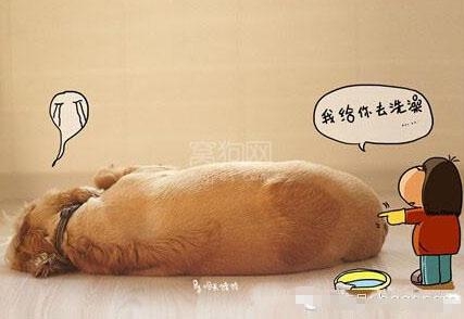 经典哥：我要上交给国家2015.06.17