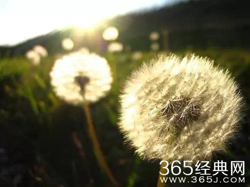 守好心，走好路